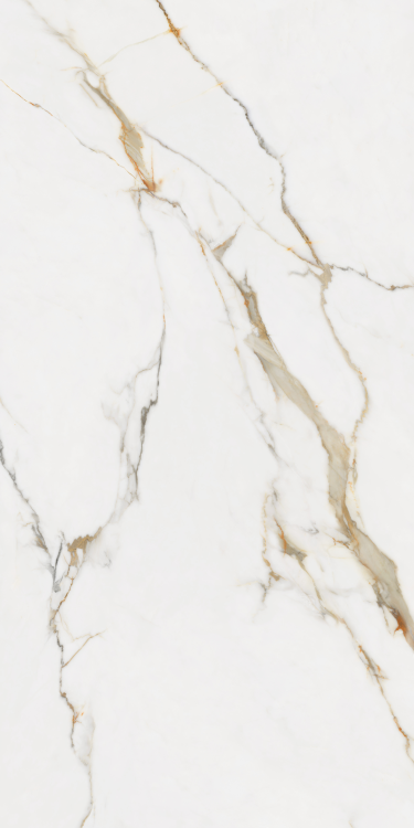 Time Dorado Matte 24 x 48